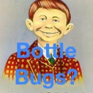 bottlebugs